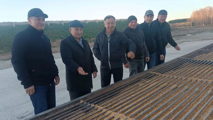 Саба районында 2026 елның 3 кварталына терлекчелек эшенә һәм үсемчелеккә йомгак ясадылар
