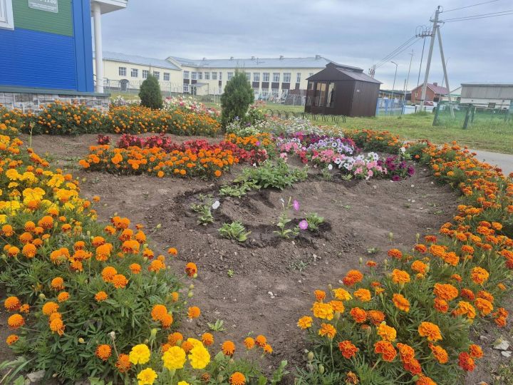 Байлар Сабасында һава торышы нинди булыр?