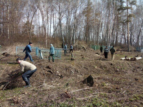 Сатыш авылы зиратында өмә