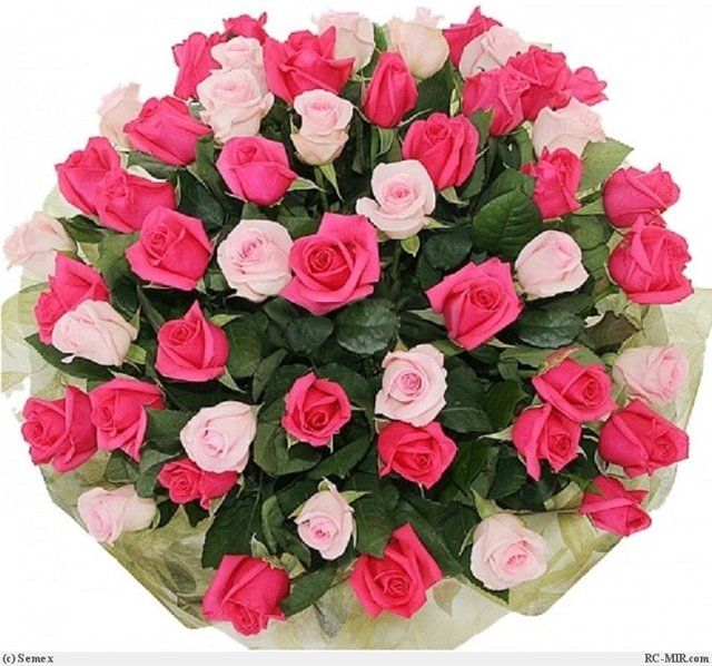Шәмәрдәндә яшәүче Диләрә Шәйдулла кызы Андреевага- 60 яшь