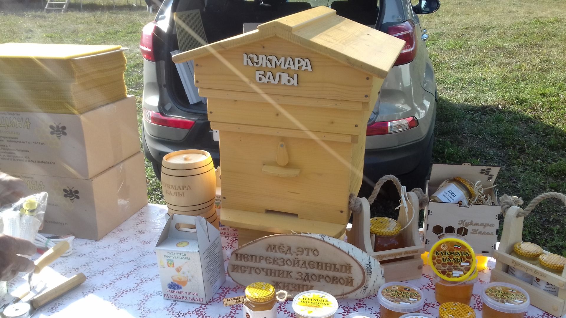 Shekshedә – Bal kortı” tue