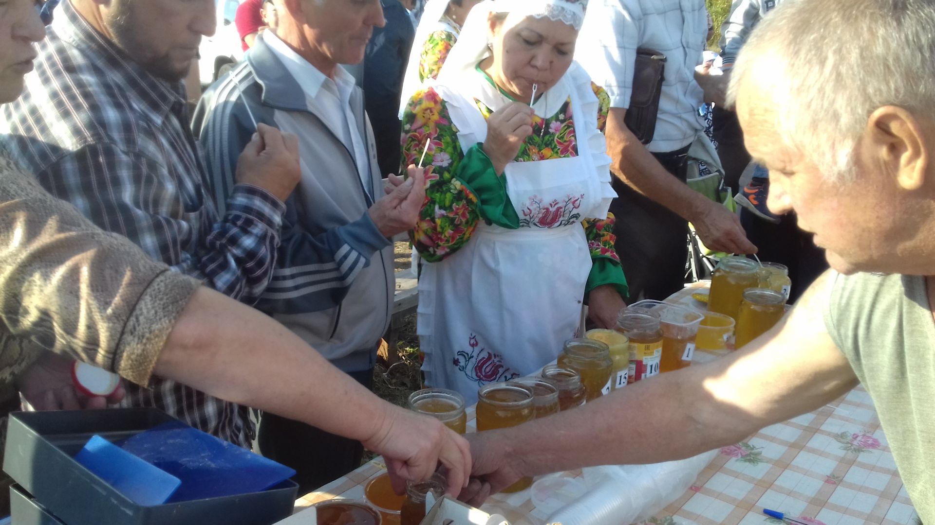 Shekshedә – Bal kortı” tue