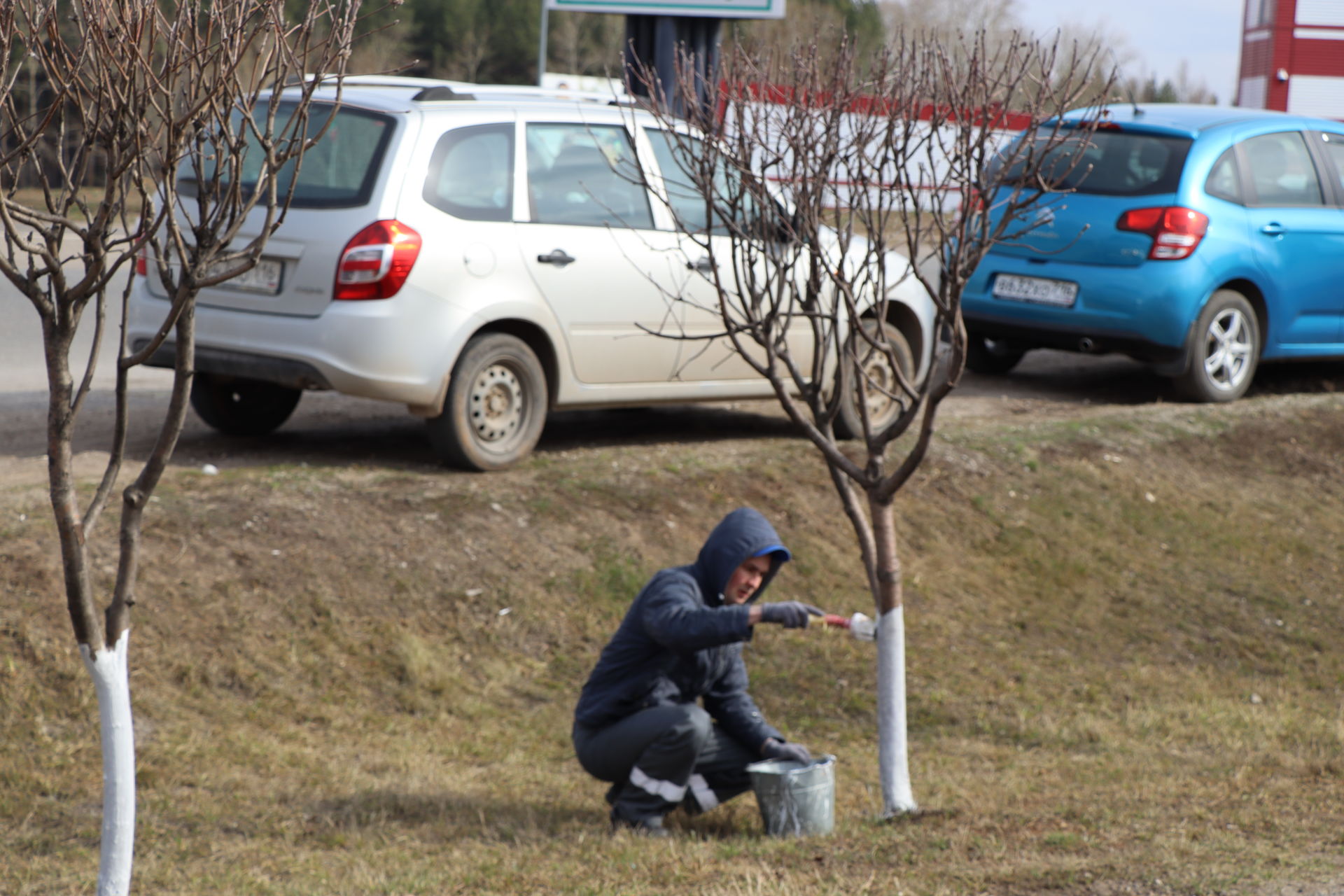 Бүген район оешма-предприятиеләр һәм  учреждениеләре  коллективлары бердәм рәвештә шимбә өмәсенә  чыкты.