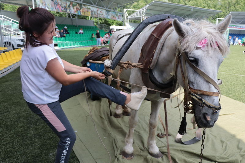 Бүген “Сабантуй” мәдәни-спорт комплексында район терлекчеләре  бәйрәме  булды (фоторепортаж)