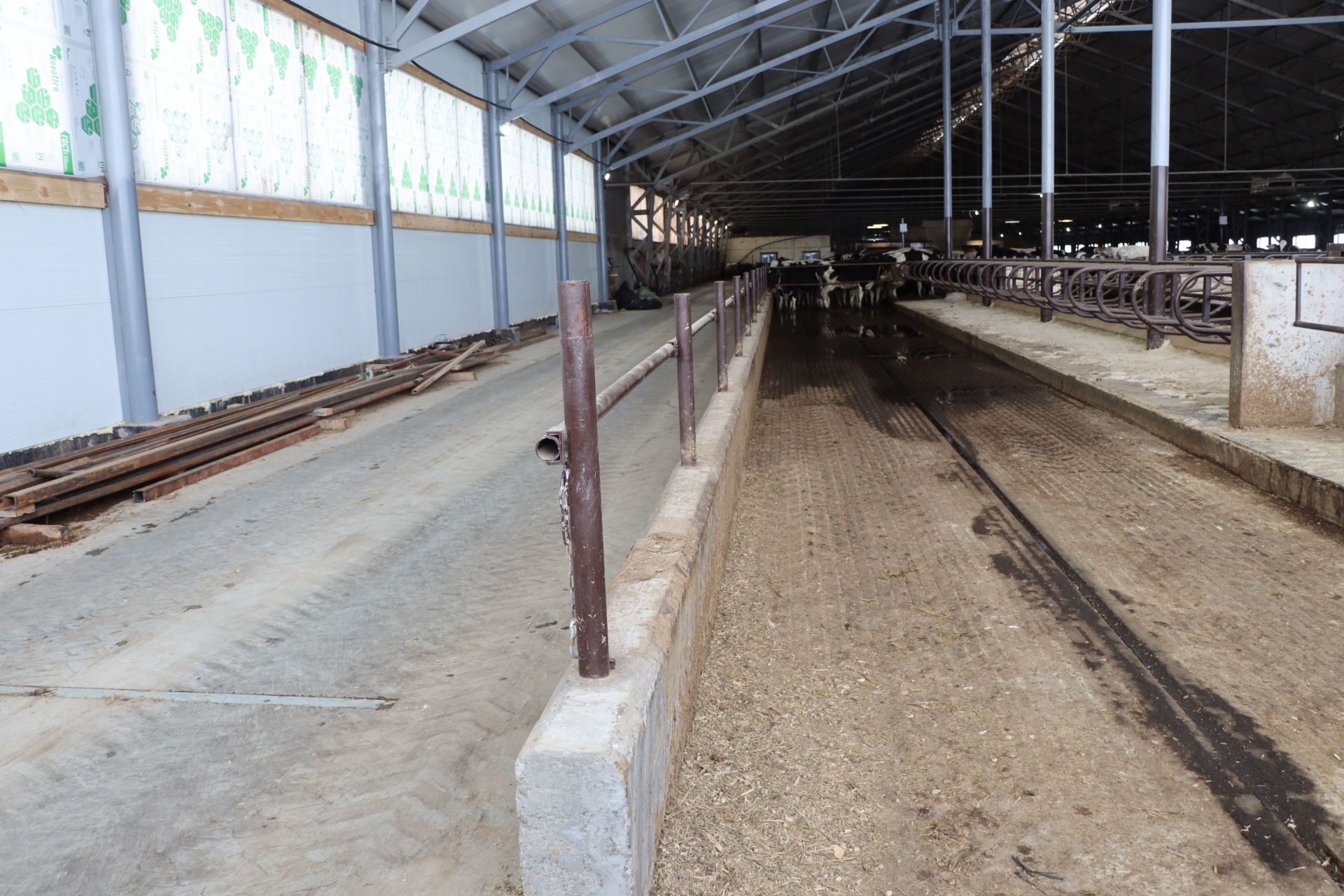Таң беренче беленгән якларда