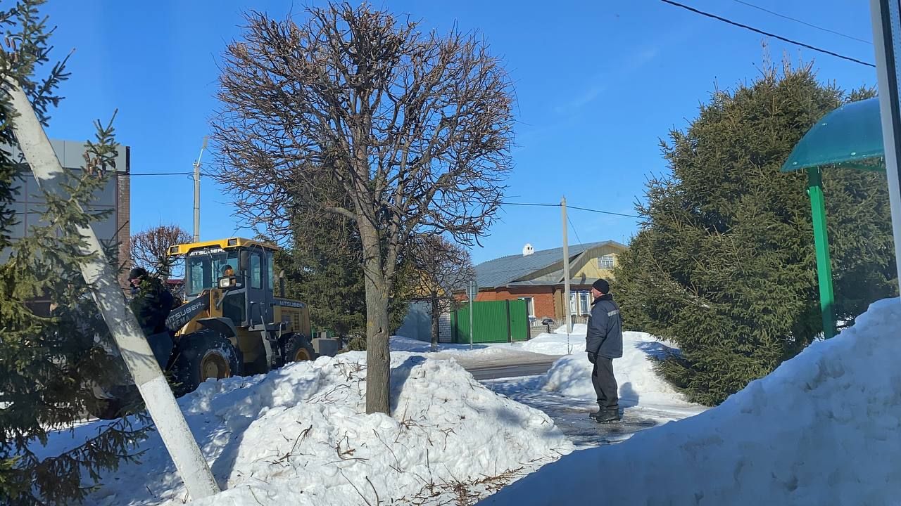Байлар Сабасында  су агу өчен канаулар ачыла һәм агачлар киселә
