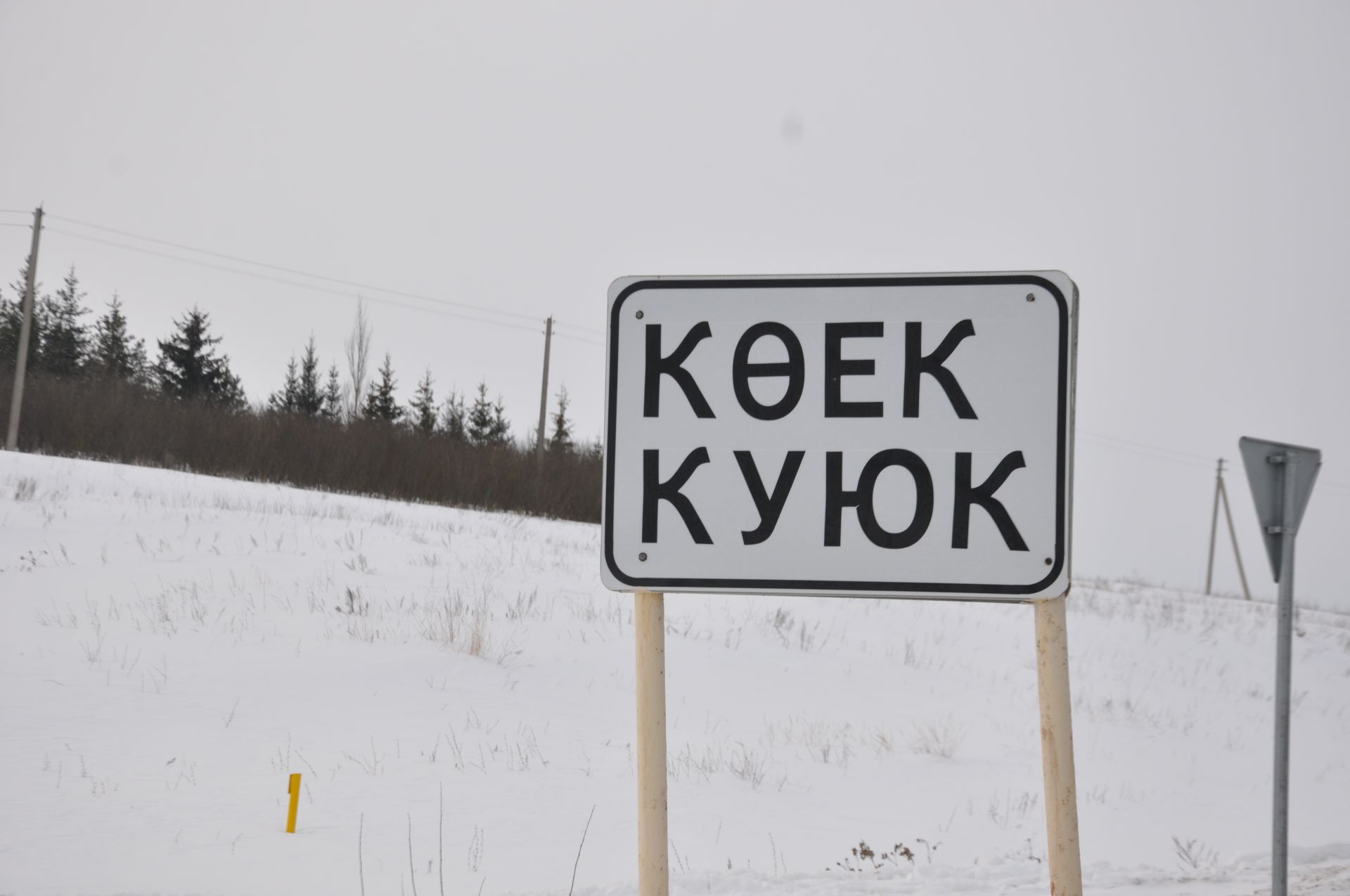 Көек каршылады сөеп