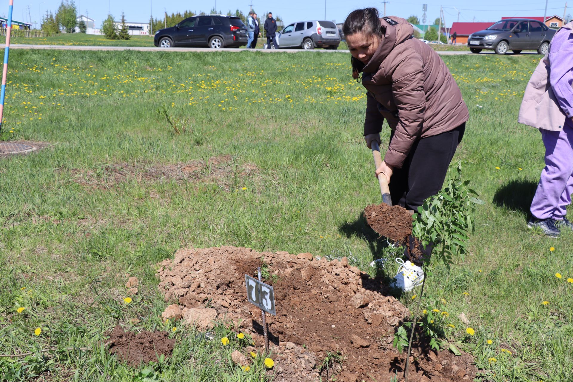 Бәйрәм көнне Сабадагы  Җиңү аллеясенә 43 төп агач утыртылды