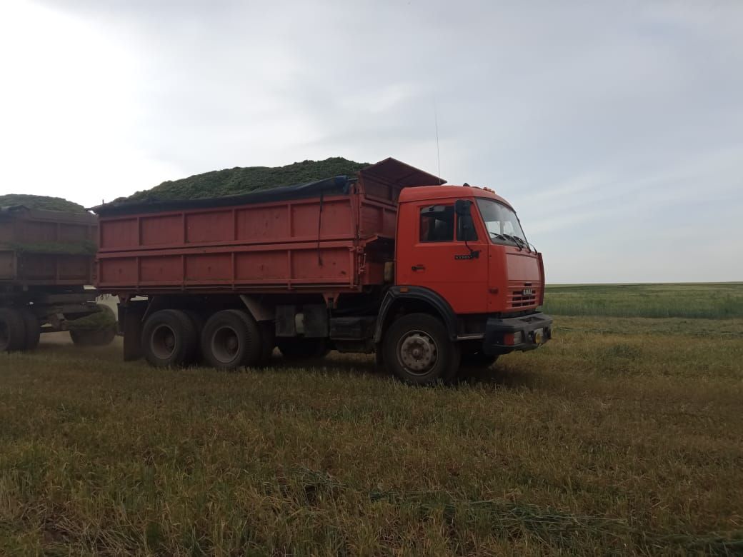Мал-туар өчен яхшы сыйфатлы азык әзерләнә