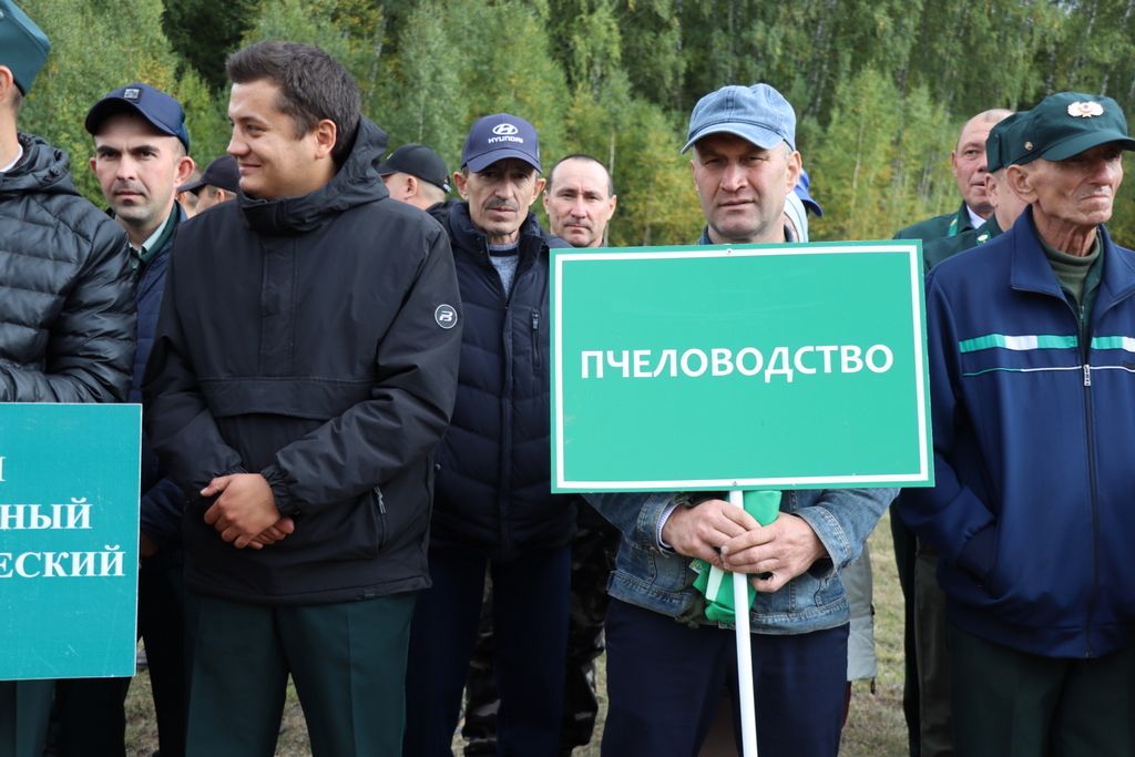 Саба урманчылыгында  үз  һөнәренең  осталары  ачыкланды