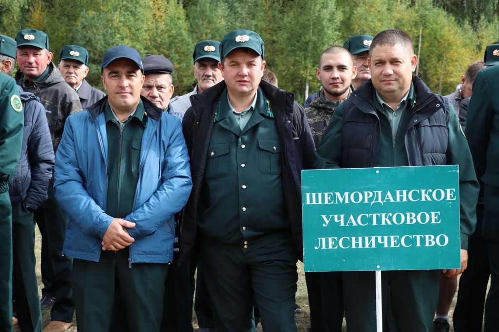 Саба урманчылыгында  үз  һөнәренең  осталары  ачыкланды