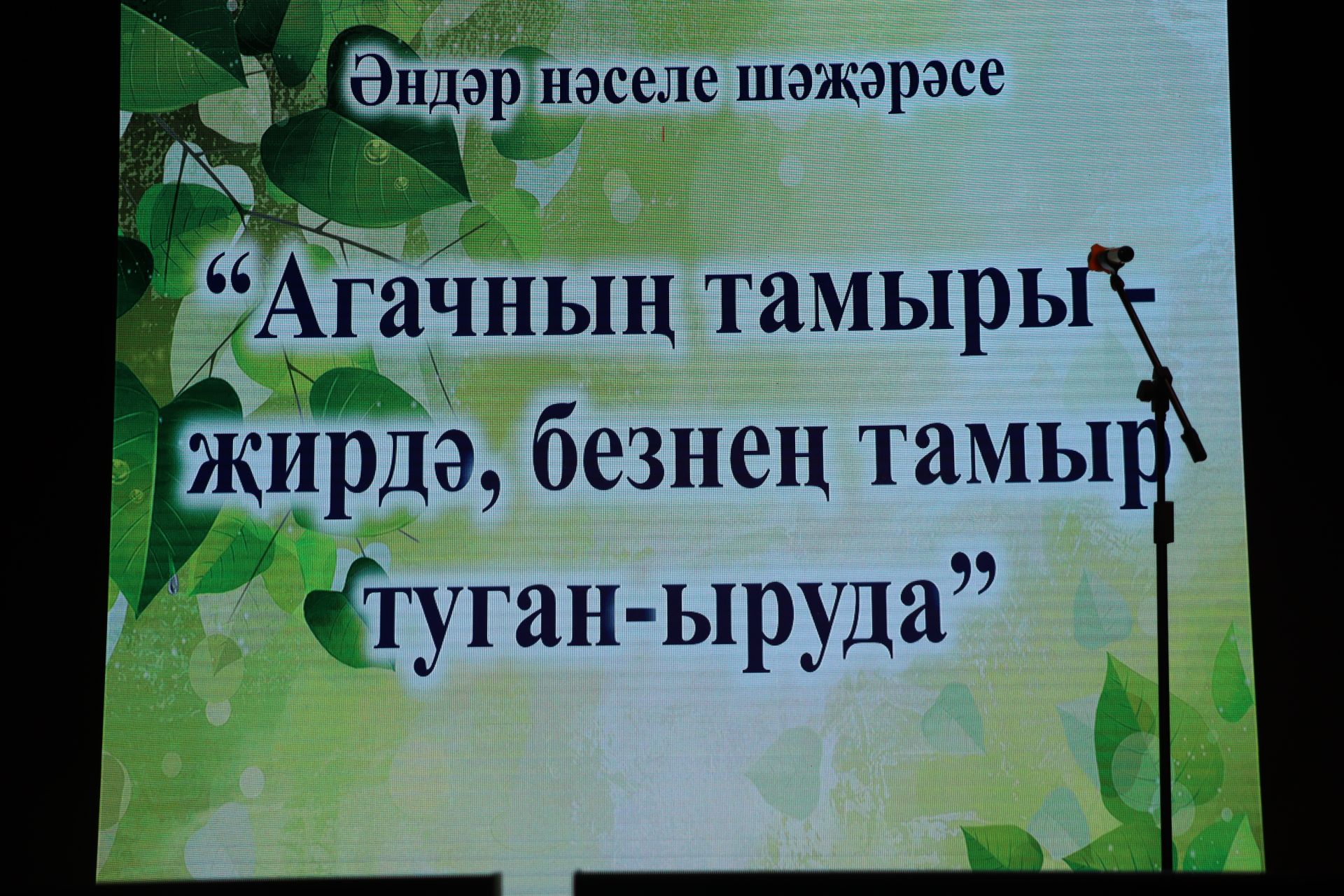 Саба мәдәният йортында узган «Буыннар чылбыры – гаилә ядкаре» район фестиваль - конкурсының йомгаклау концертыннан фоторепортаж