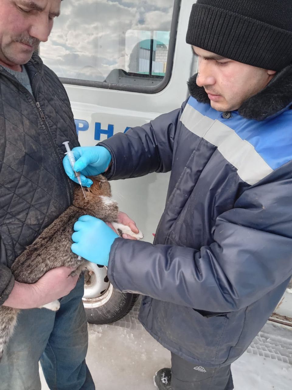 Котыру чире кеше өчен дә куркыныч