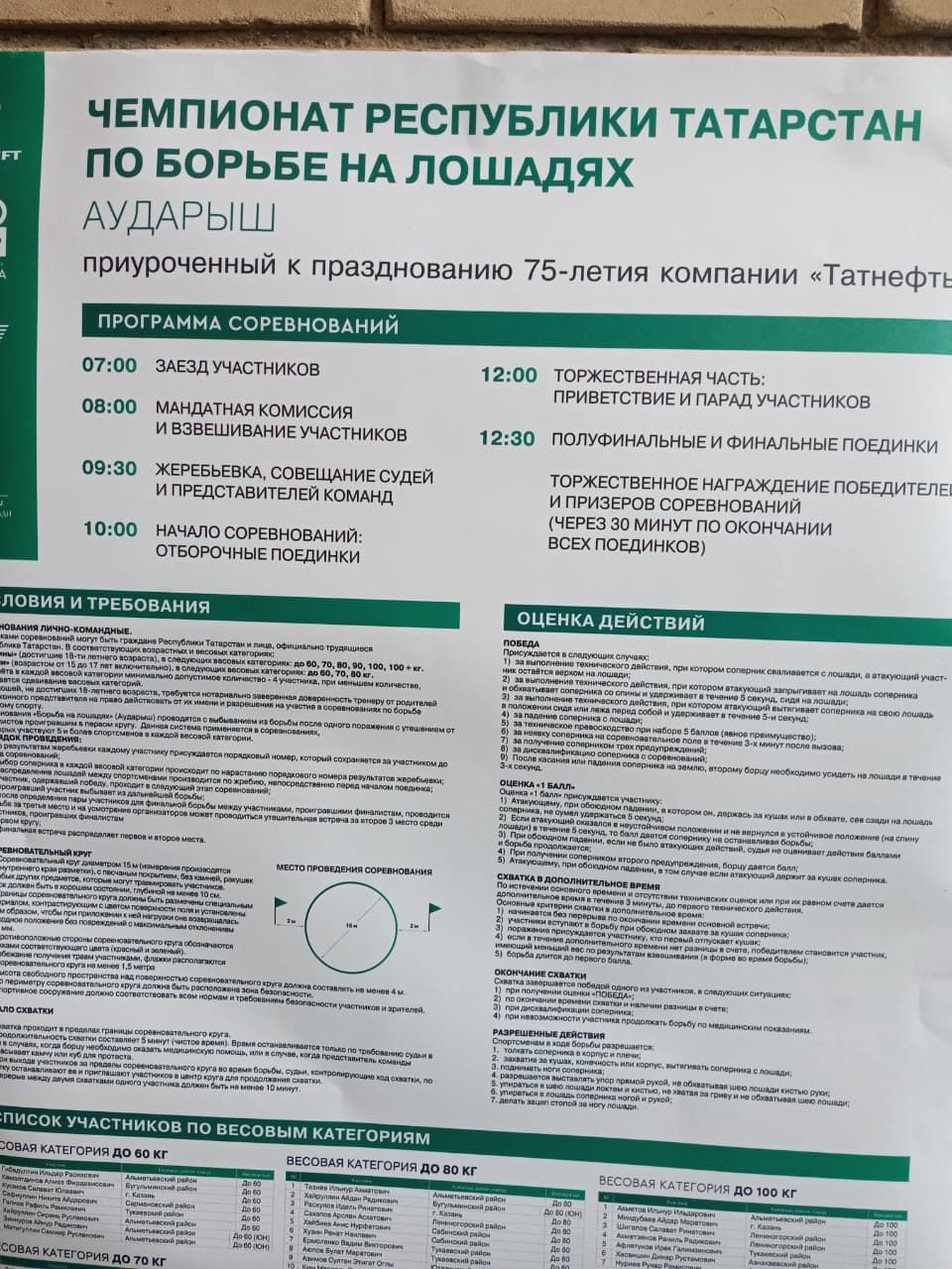 Әлмәттә  аударыш буенча Татарстан  чемпионаты булды