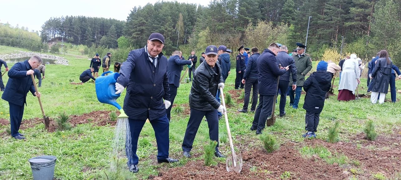 Бәйрәм көнне «Ямьле Саба» яр буенда 140 төп агач утыртылды