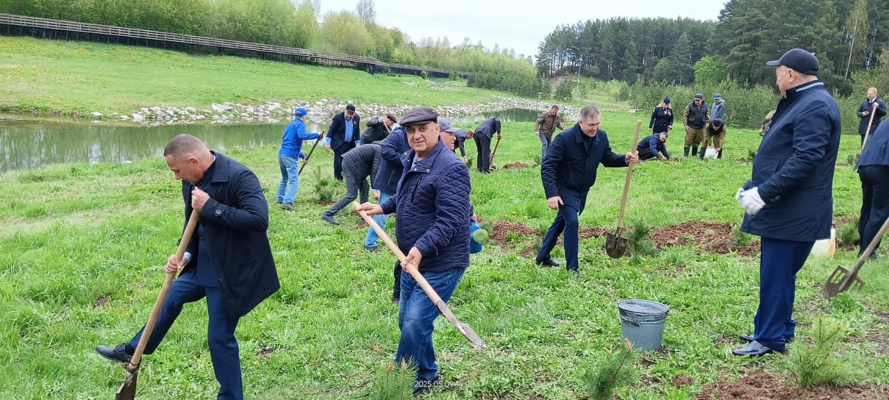 Бәйрәм көнне «Ямьле Саба» яр буенда 140 төп агач утыртылды