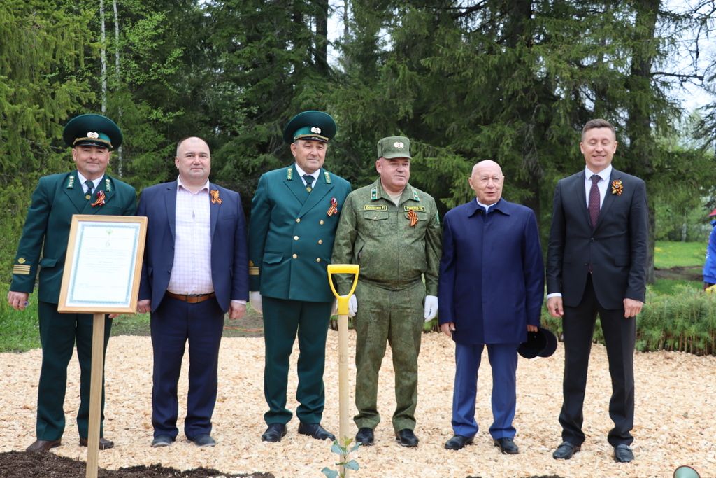 Сталинград тирәге  генетик хәтер булып Лесхозга  кайтты