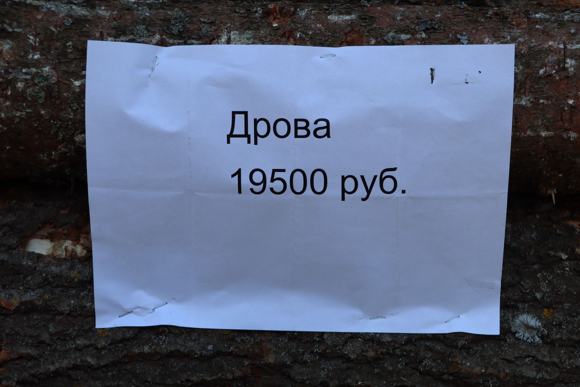 Быел  халык  ярминкәгә мәдәният йорты  каршындагы  мәйданга  чыкты