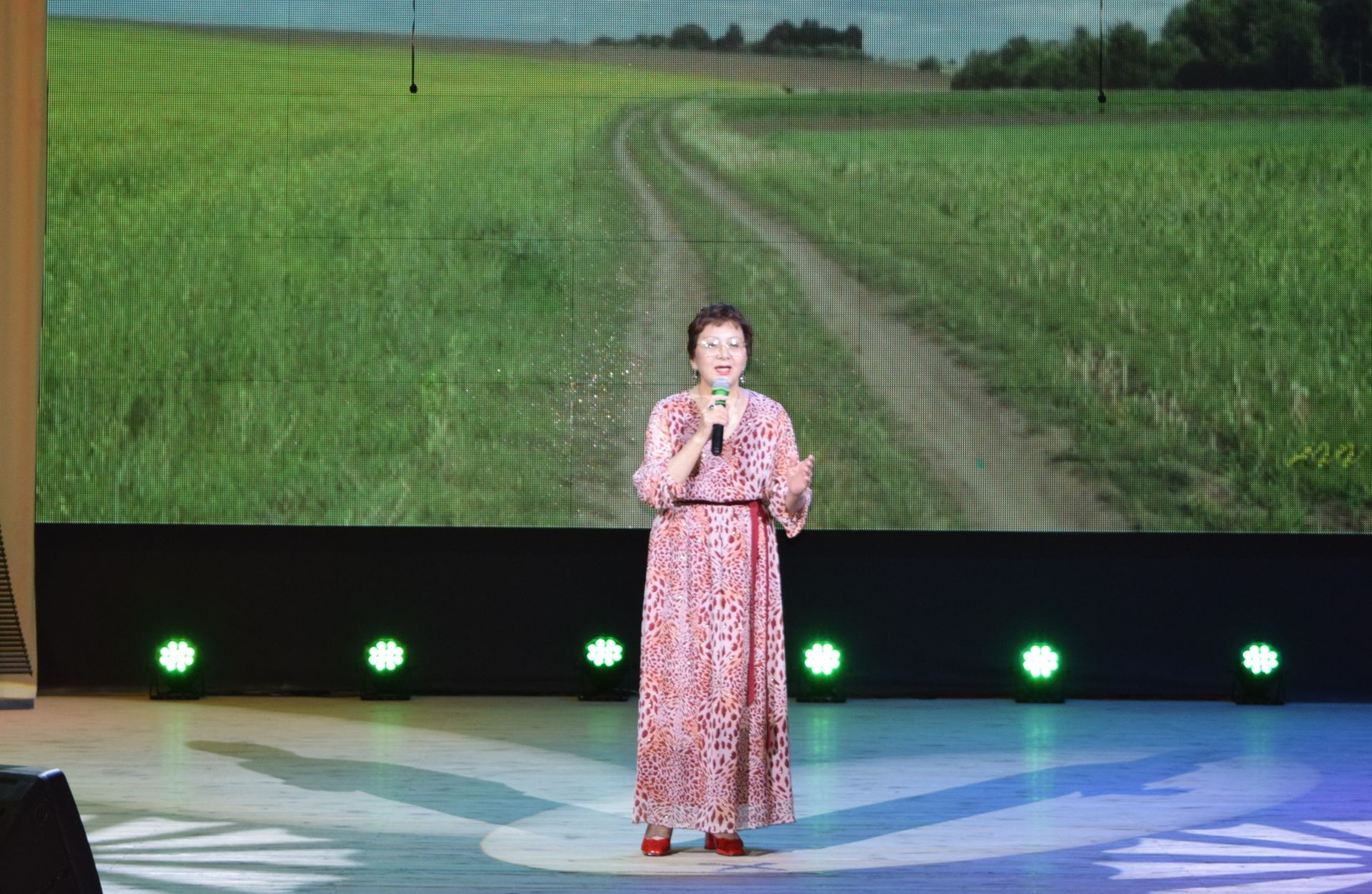 Шәмәрдән мәдәният йорты хезмәткәрләре «Тулган ай» фольклор коллективы белән берлектә «Чаба, чаба гомер аты...» дигән концерт оештырды