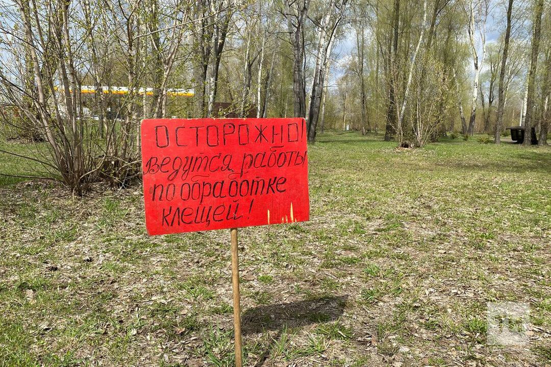 Татарстан талпан энцефалиты буенча куркыныч регионнар исемлегендә