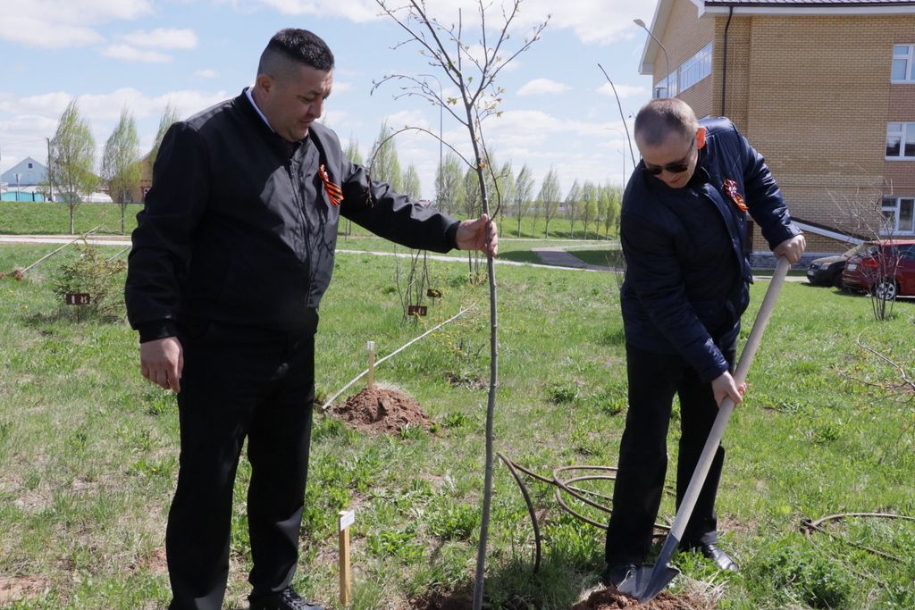 Тантана  агач утырту белән төгәлләнде