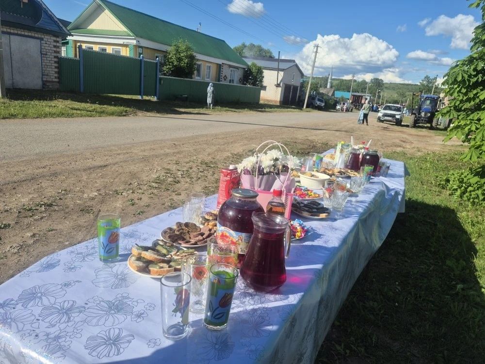 Сатыш авылында сабан туена бирнә җыйдылар