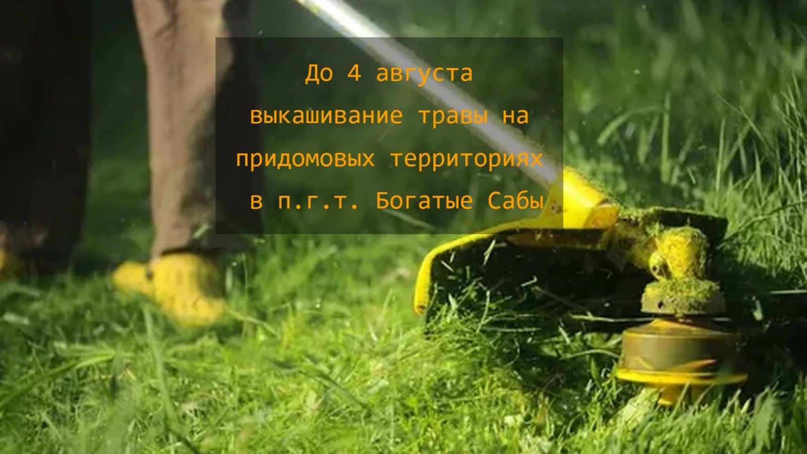 Хөрмәтле Саба шәһәр җирлегендә яшәүчеләр!