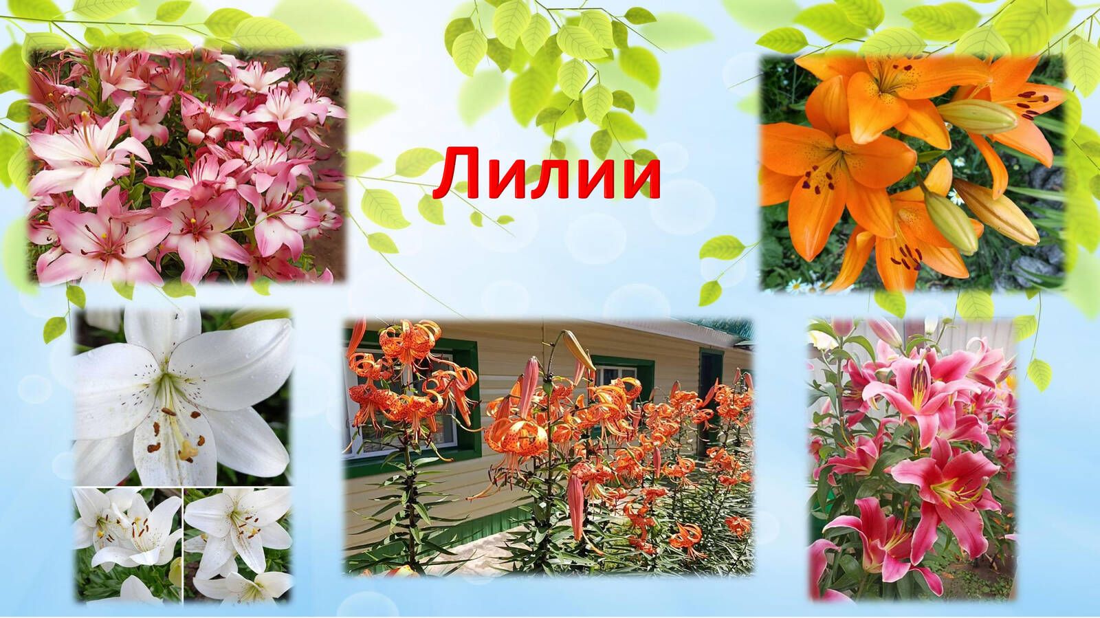 Югары Утар интернатында гүзәллек дөньясы/фоторепортаж