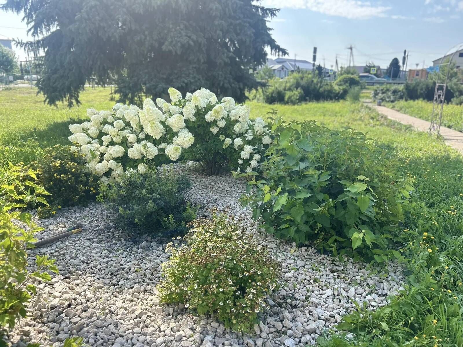 Чәчәкләр дөньясында сәяхәт: Саба гимназиясендә купшы бакча барлыкка килде