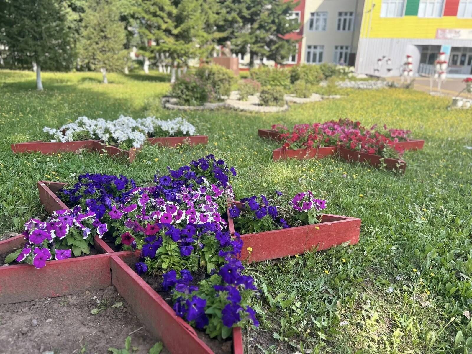Чәчәкләр дөньясында сәяхәт: Саба гимназиясендә купшы бакча барлыкка килде