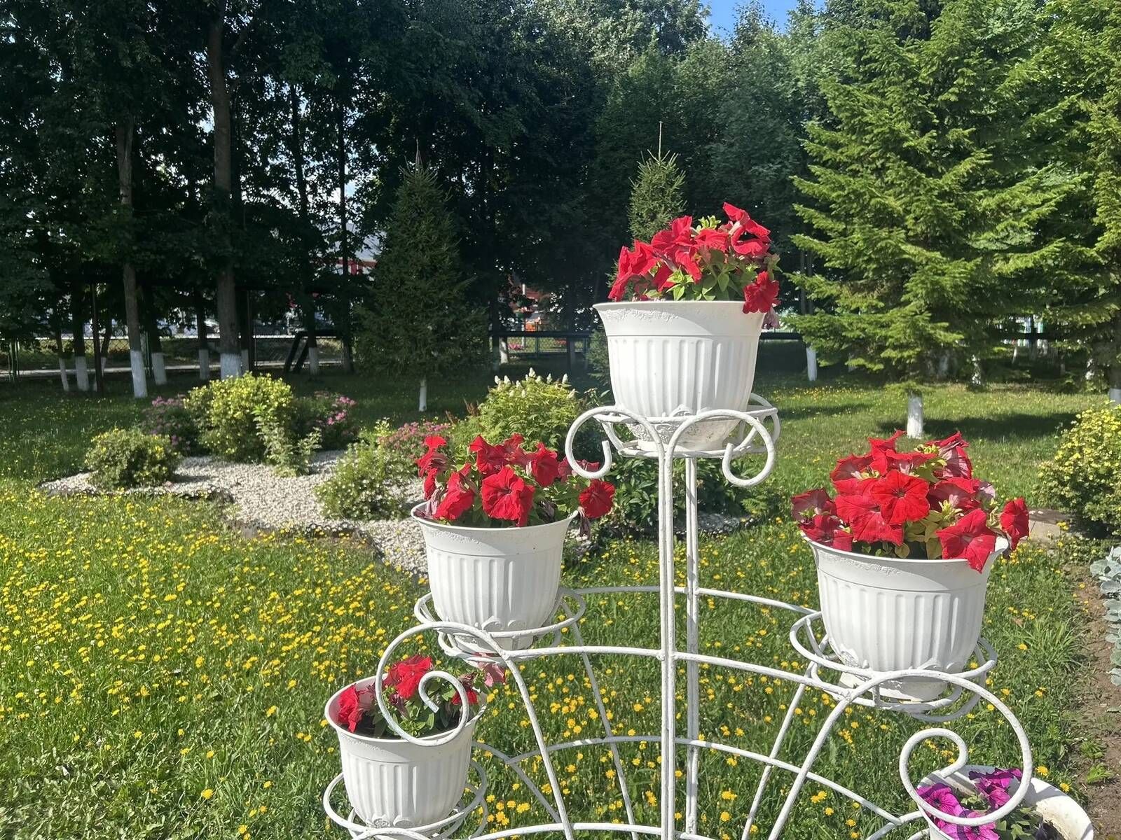 Чәчәкләр дөньясында сәяхәт: Саба гимназиясендә купшы бакча барлыкка килде