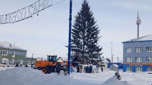 Чыршыны сүттеләр...