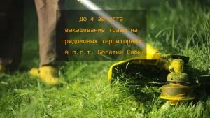 Хөрмәтле Саба шәһәр җирлегендә яшәүчеләр!