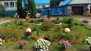 Лесхоз бистәсендә Евдокимовлар гаиләсенең чәчәк бакчасы