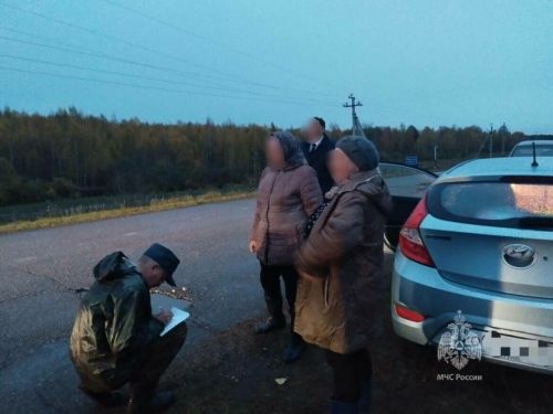 Татарстанда өч гөмбәче адашкан