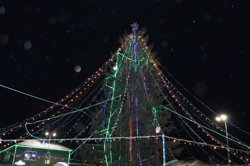 Сабада төп чыршының ачылу көне билгеле булды