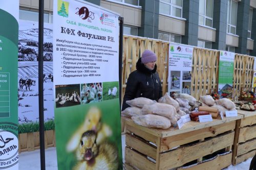Сабага никахлар сарае  һәм тренерлар кирәк