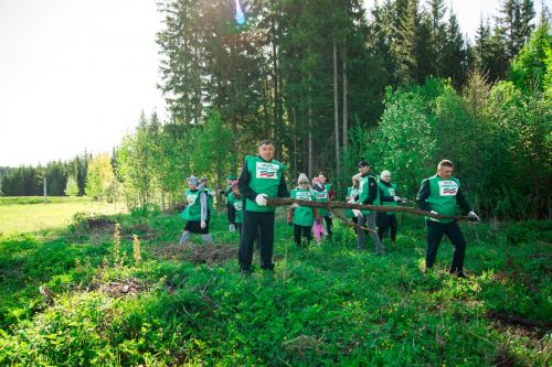 Саба  урманнары  чистара
