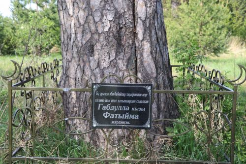 Тырыш, бердәм халкы белән матур Мишәбаш