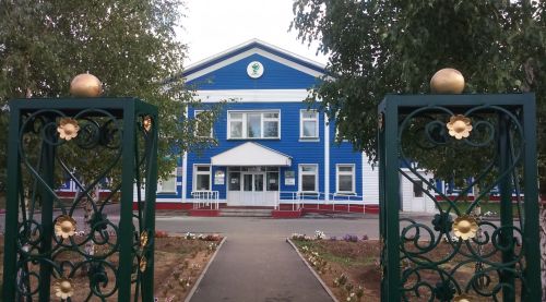 Талпаннар котыра: Саба табиблары зарарлы бөҗәктән сакланырга чакыра