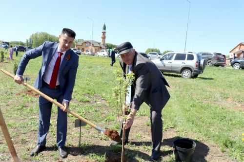 Бәйрәм көнне Сабадагы  Җиңү аллеясенә 43 төп агач утыртылды
