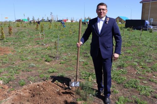 Бәйрәм көнне Сабадагы  Җиңү аллеясенә 43 төп агач утыртылды