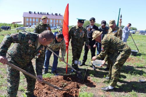 Бәйрәм көнне Сабадагы  Җиңү аллеясенә 43 төп агач утыртылды