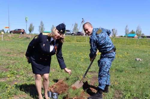 Бәйрәм көнне Сабадагы  Җиңү аллеясенә 43 төп агач утыртылды