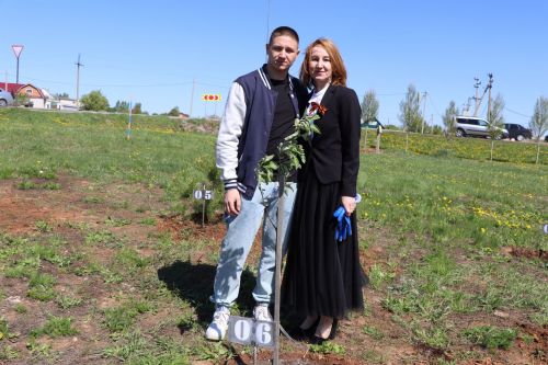 Бәйрәм көнне Сабадагы  Җиңү аллеясенә 43 төп агач утыртылды