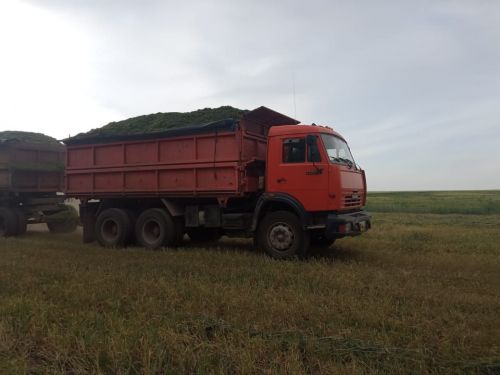 Мал-туар өчен яхшы сыйфатлы азык әзерләнә