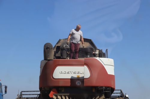 Игенне маңгай  тире уңдыра