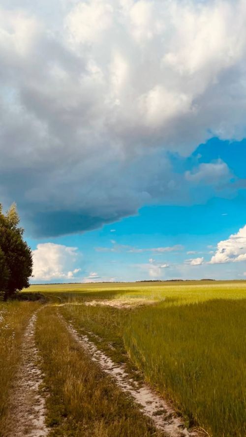 Сабада 9 августка һава торышы