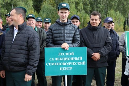 Саба урманчылыгында  үз  һөнәренең  осталары  ачыкланды