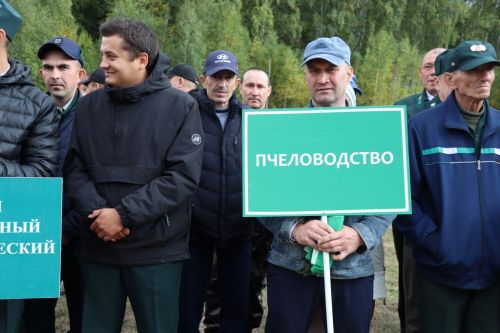 Саба урманчылыгында  үз  һөнәренең  осталары  ачыкланды